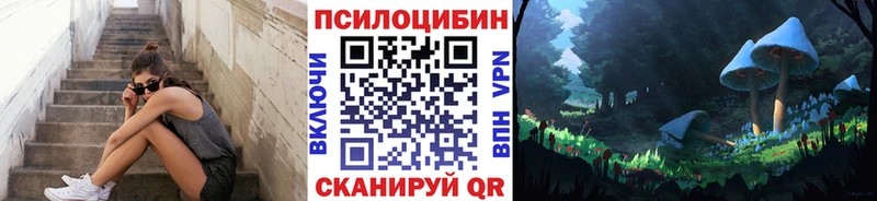 Псилоцибиновые грибы Cubensis  Курлово 
